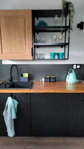 Apartament Turkusowe Łąki 4c-1