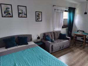 Apartament Turkusowe Łąki 4c-1