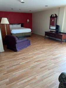 King Studio with Sofa Bed room in Pottsville Hotel