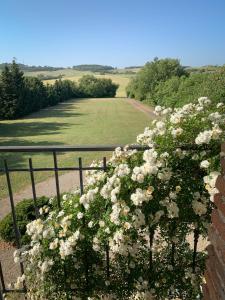 The East Wing - Carcassonne