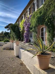 Villas The East Wing - Carcassonne : photos des chambres