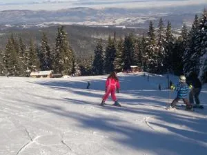 Zodiac House - Relʼovo