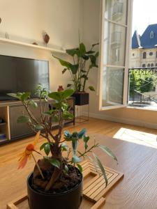 Charmant appartement hyper centre