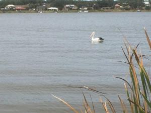 Goolwa Retreat