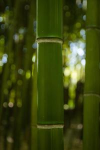 Cabañitas Remanso del Espíritu