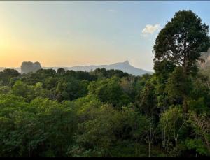 มัณดาวีต์ คอนโดa