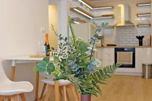 NOVERA Apartments - Galanda 24