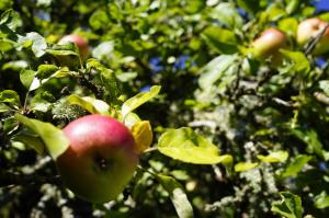 90kvm hus 3 sovrum och bastu