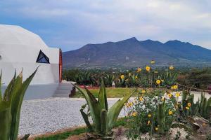 Domo de Lujo Cerca a Tolantongo