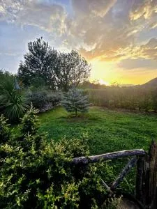 Il Gelso Rosso - Illice