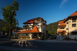 Casa Din Bran - Inn Center