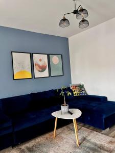 Comfortable Baia Mare Apartment