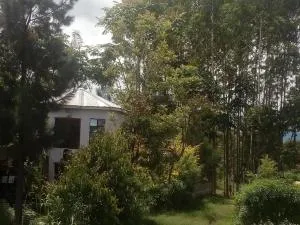 Jungle lodge & Camping site - 育空河