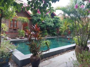 Tam Coc Tropical Homestay