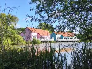 Domaine de la roselière • Nature • Brenne - Le Maupas