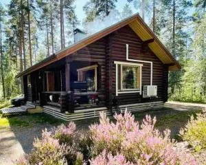 Uniikki lomamökki mäntymetsässä järven edustalla - Pihtikoski