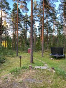 Uniikki lomamökki mäntymetsässä järven edustalla