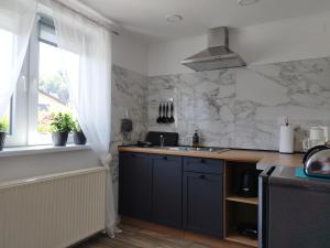 "Cattus" studio apartman