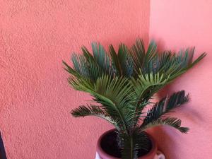 Jolie villa avec piscine privée