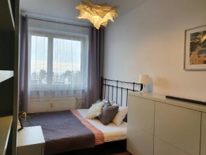 Duże Mieszkanie na Płowcach