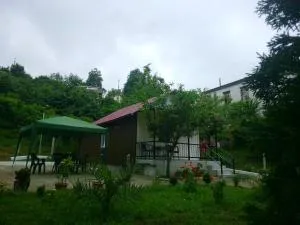 BANI tsikhisdziri - 提斯基斯迪里