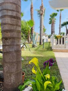 Pupillo Casa Vacanza