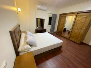 luxuries Apt in new Cairo