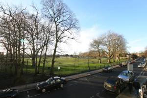 Glorious view over the park