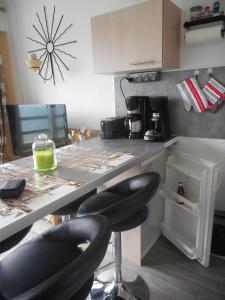 Appartement PuySaintVincent 1600