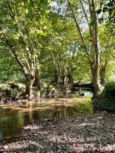 Maisons de vacances Eihera Berria, le Moulin du XVIIIeme : photos des chambres