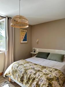 Maisons de vacances Eihera Berria, le Moulin du XVIIIeme : photos des chambres