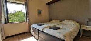 B&B / Chambres d'hotes La Villonniere : photos des chambres