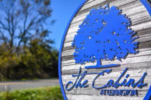 The Lewis #25 - The Cabins at Lexington