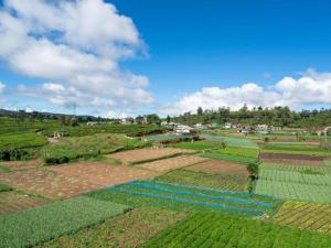 Stoney Croft Cottage