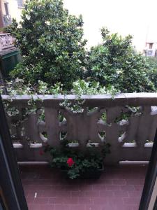 Cozy apartment in central Milan