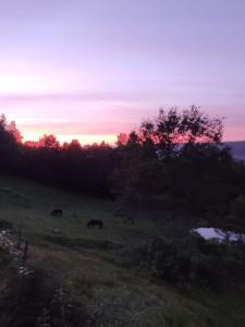 Gîte Au bout des Mynes avec vue panoramique