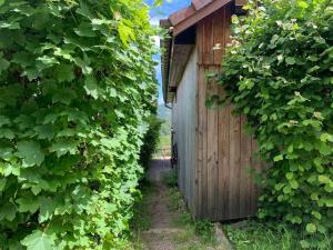 Gîte Au bout des Mynes avec vue panoramique