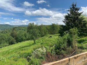 Maisons de vacances Gite Au bout des Mynes avec vue panoramique : photos des chambres