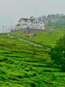 The Misty Valley - Kodanād