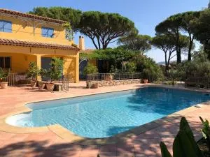 Sous les pins parasols - Peissonnel