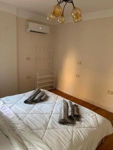 2BD Cozy Apartment 10 Min Driving to Cairo International Airport