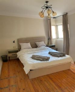 2BD Cozy Apartment 10 Min Driving to Cairo International Airport