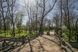 Central new 12 sqm room