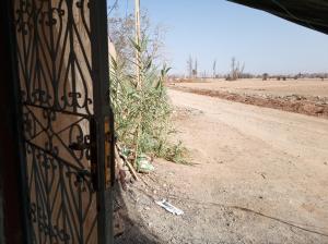Maison complète Jardin et terrasse