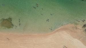 Paraiso dos Corais Beach Guarajuba - NG2 BCA