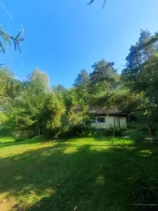 poziomkowo mi w Borach Tucholskich - Bobrowiec