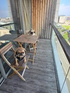 Benji & Milos Apartments - 纽敦阿比