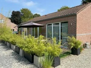 Flat vane & Soun - Sint-Genesius-Rode