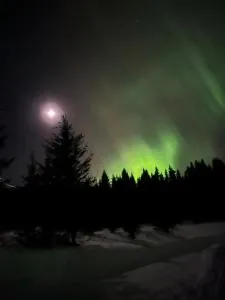 Langahlíð Guesthouse - Privatete Forest - - Rjúpnavellir