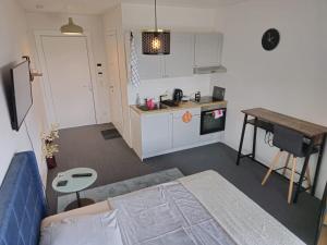 Alisaarigent Apartment